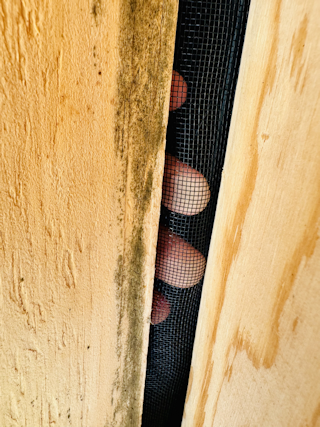 The Attic Armor Solution